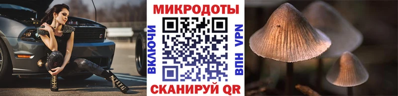 Псилоцибиновые грибы мицелий Фролово
